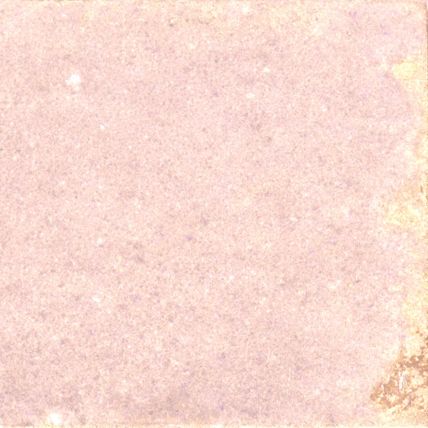 Rose Gloss - Aura Smooth Ceramic Wall Tile