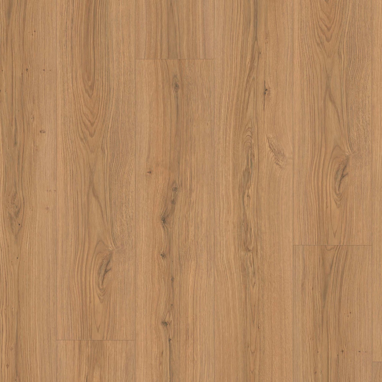 Natural Honey Oak - Wood Essence Aqua Water Resistant 12mm Laminate Sample