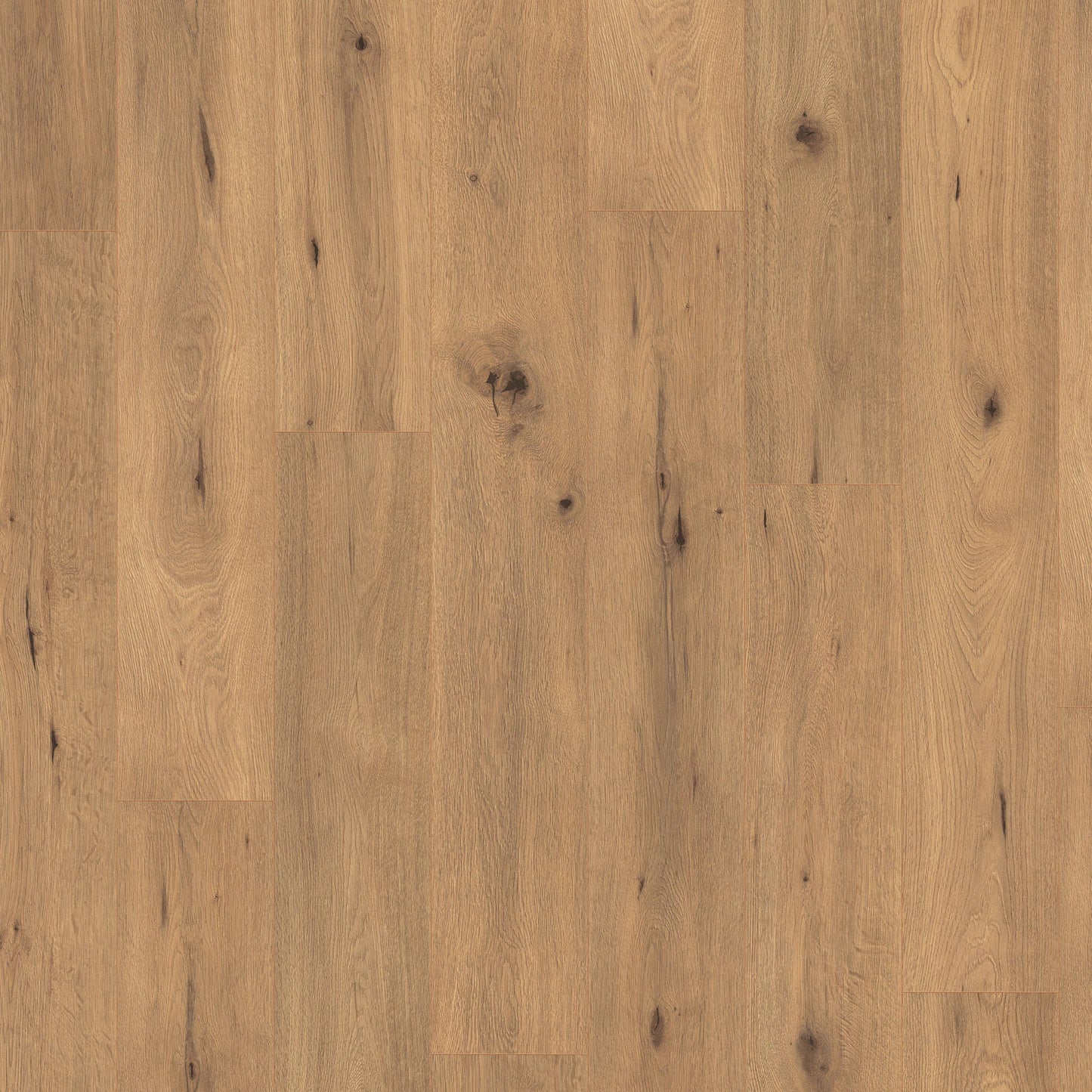 Untamed Oak - Wood Essence Water Resistant 7mm Laminate Sample