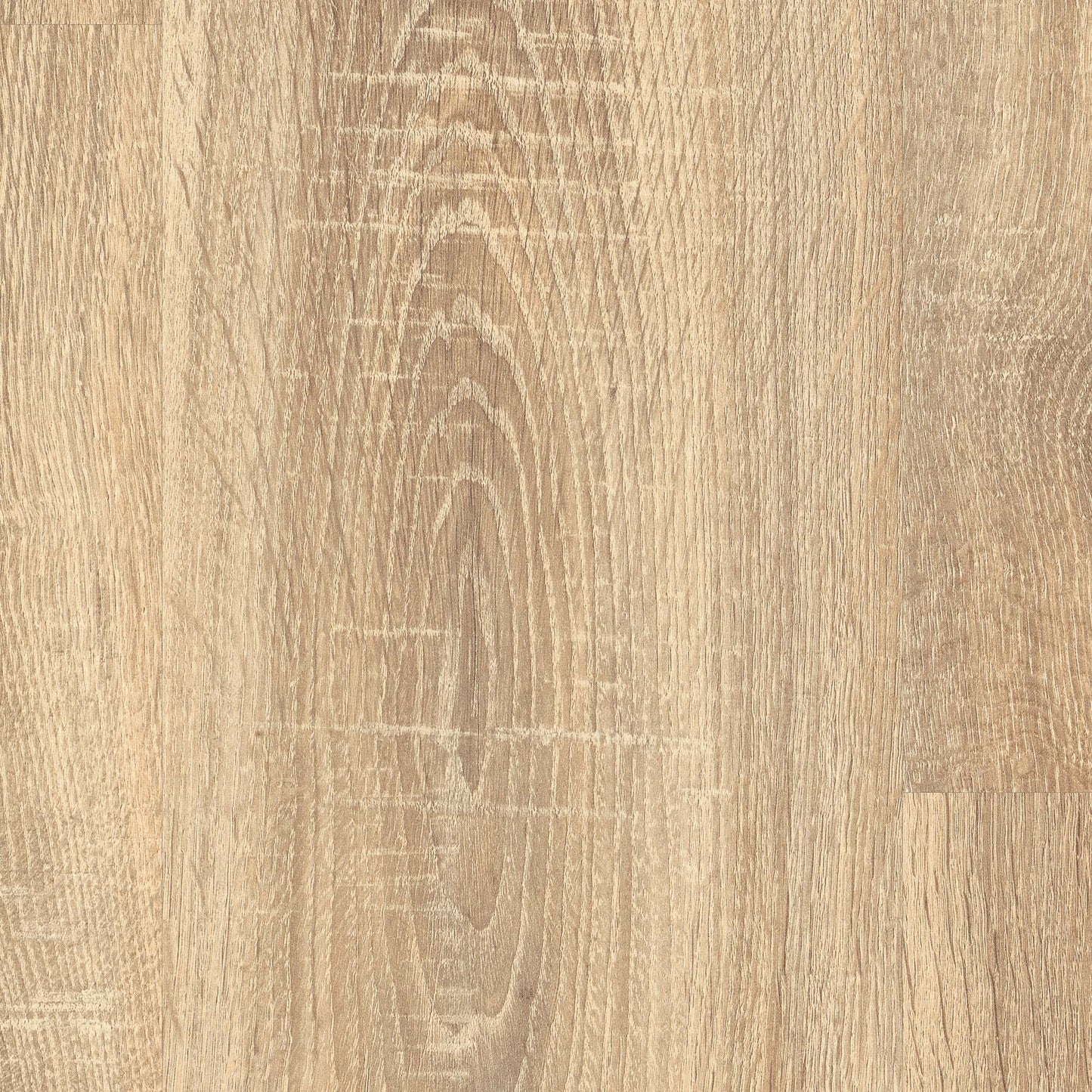 Tranquil Oak - Wood Essence Water Resistant 8mm Laminate Sample
