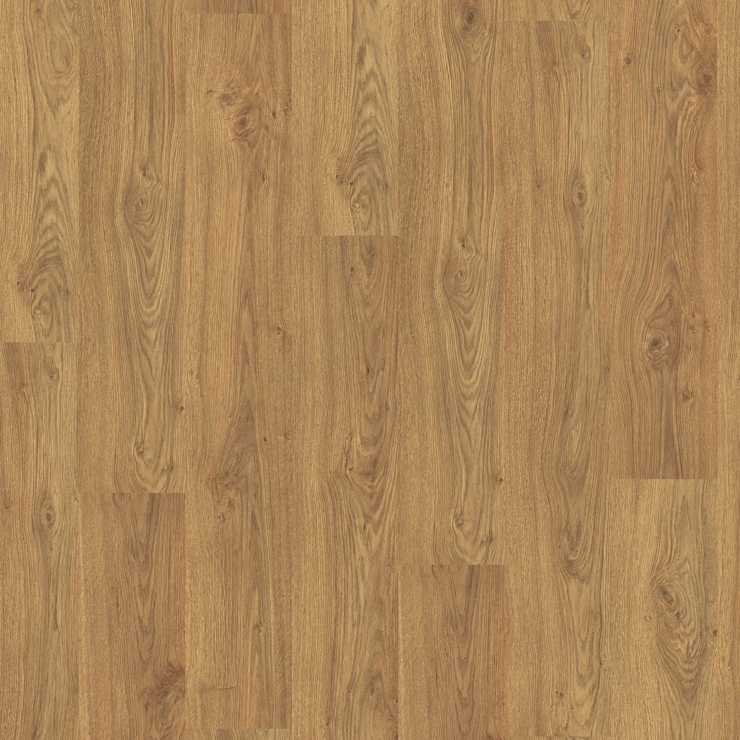 Amber Silvan Oak - Wood Essence Water Resistant 8mm Laminate Sample