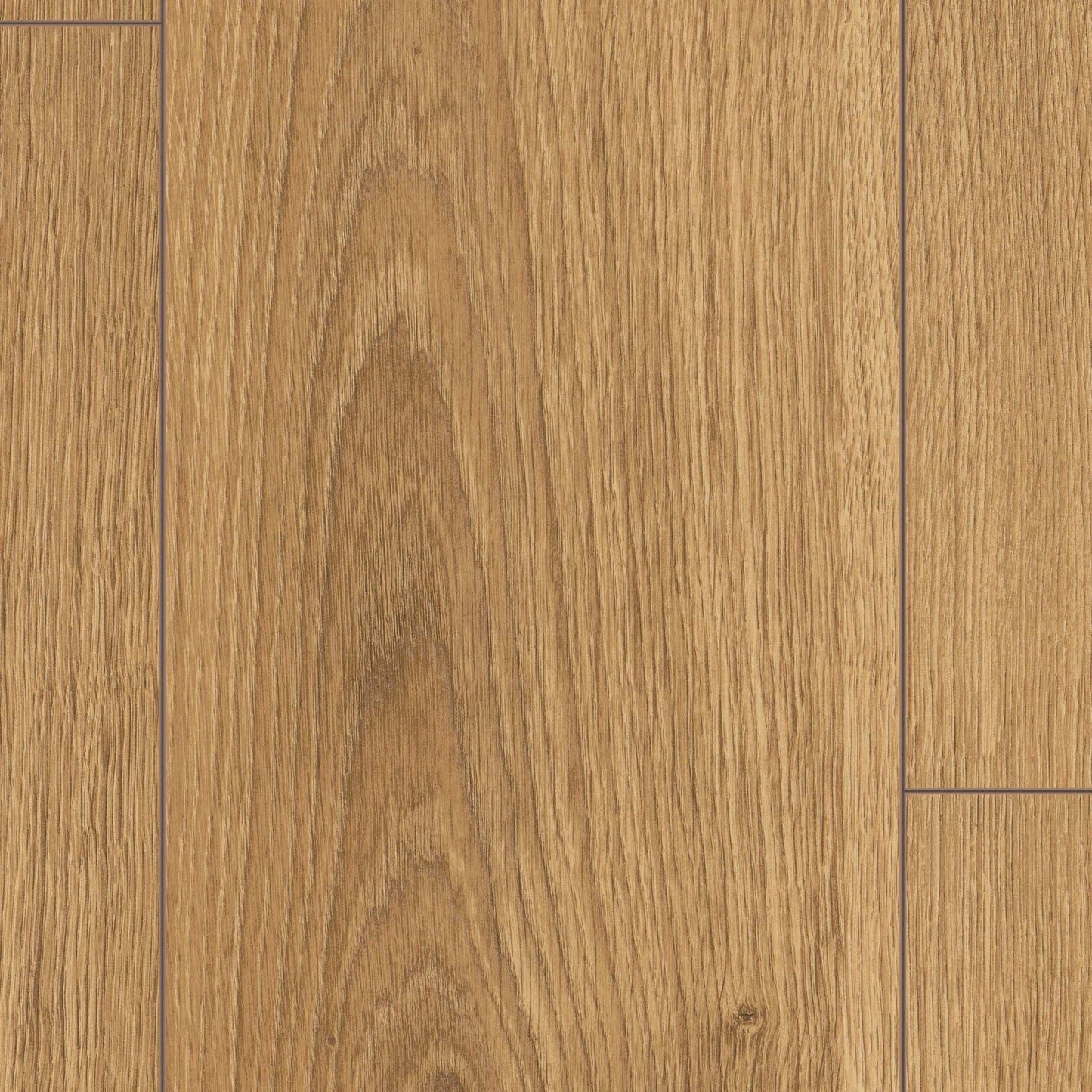 Rawland Oak - Wood Essence Water Resistant 8mm Laminate Sample