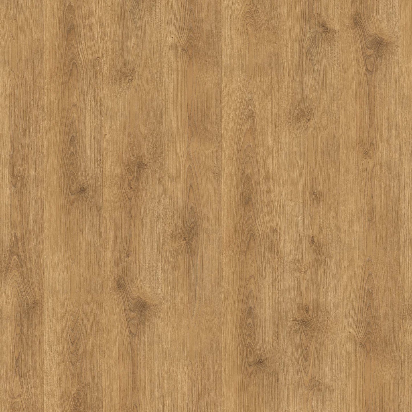 Rawland Oak - Wood Essence Water Resistant 8mm Laminate Sample