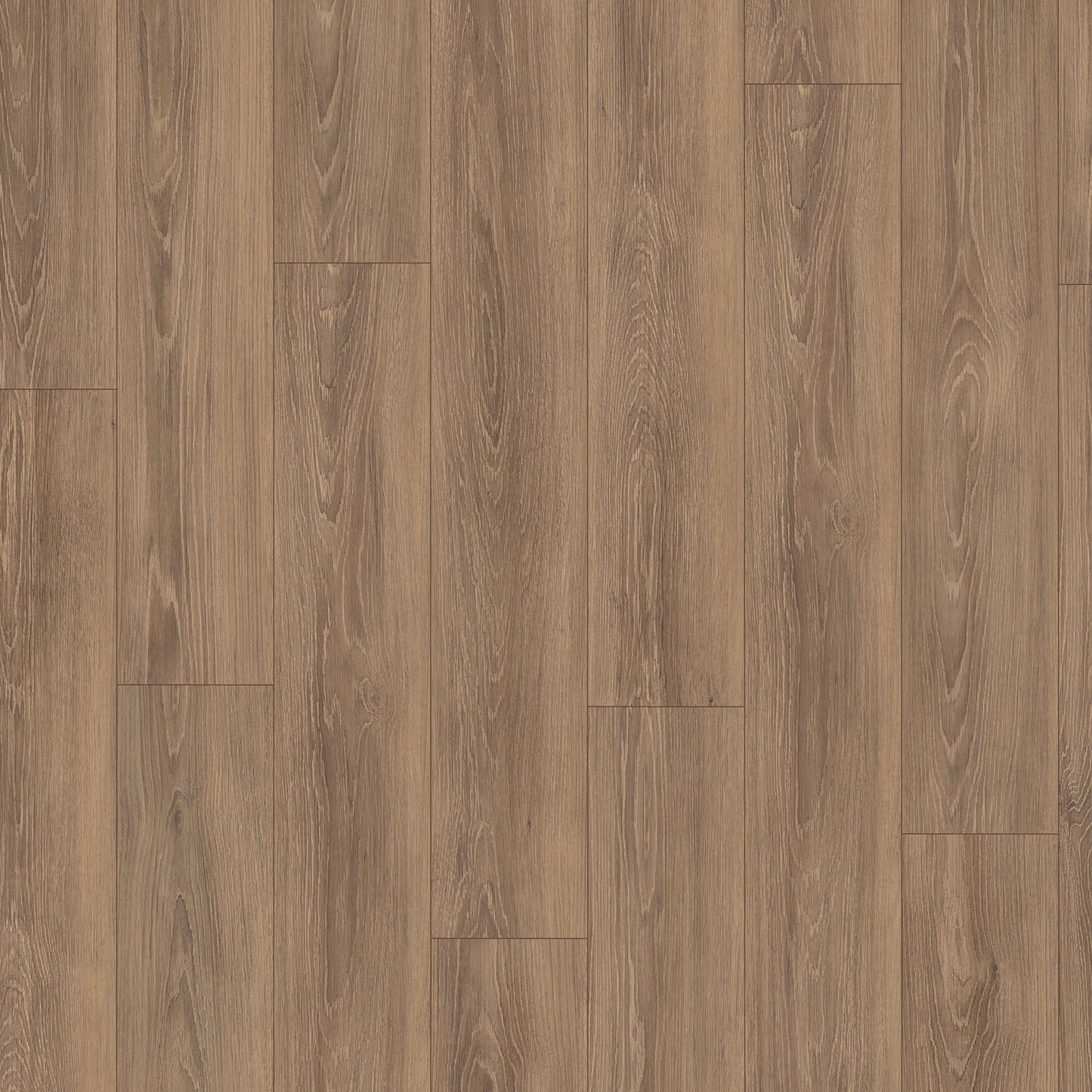 Warm Haven Oak - Wood Essence Water Resistant 8mm Laminate Sample