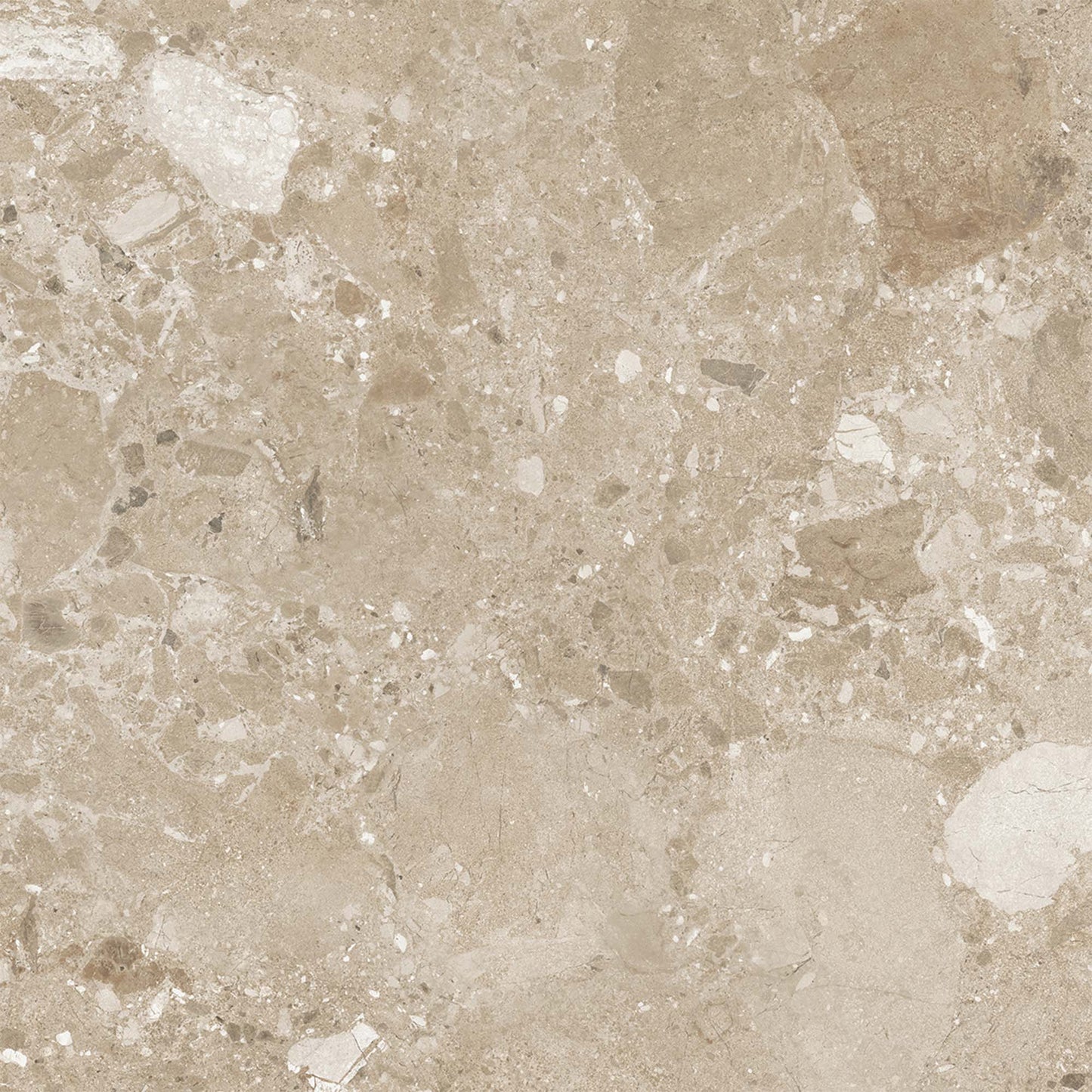 Beige Matt - Terazzia Smooth Porcelain Wall & Floor Tile Sample