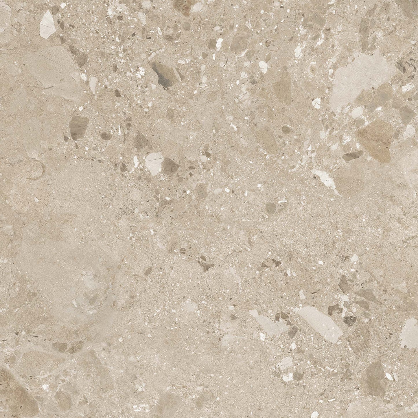 Beige Matt - Terazzia Smooth Porcelain Wall & Floor Tile Sample