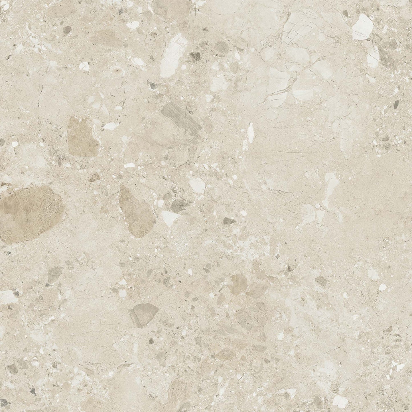 Natural Matt - Terazzia Smooth Porcelain Wall & Floor Tile Sample