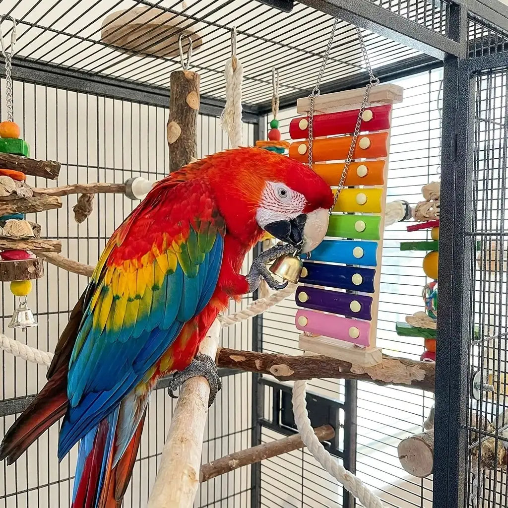 JMLPets Colourful Bird Xylophone Enrichment Toy – 33 cm