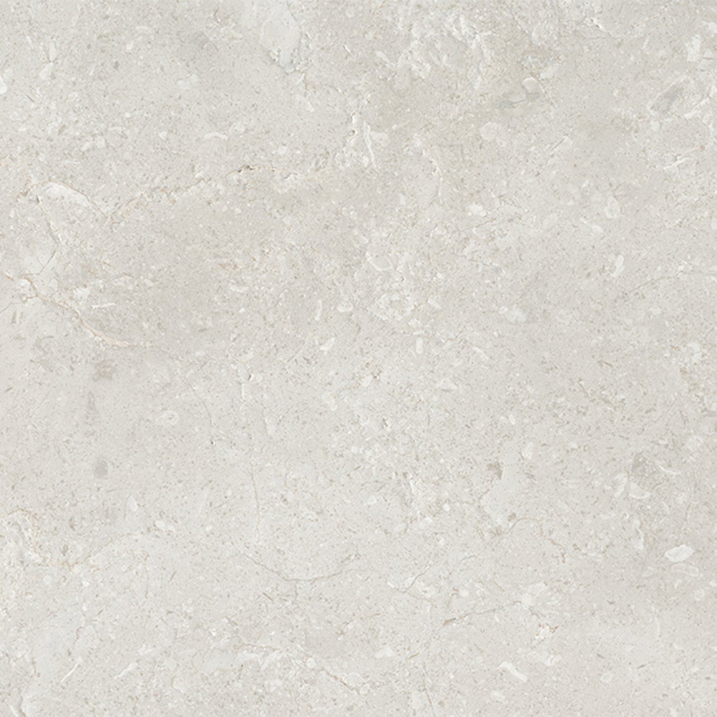 Belmont Matt - Smooth Ceramic Wall Tile Sample