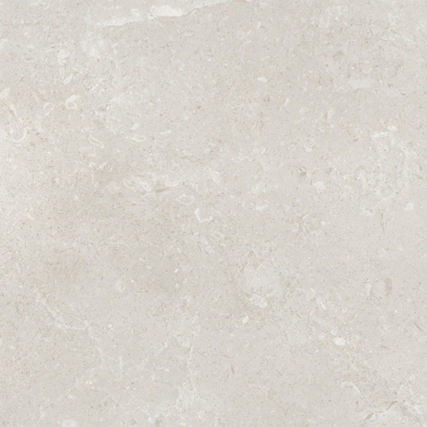 Belmont Matt - Smooth Ceramic Wall Tile Sample