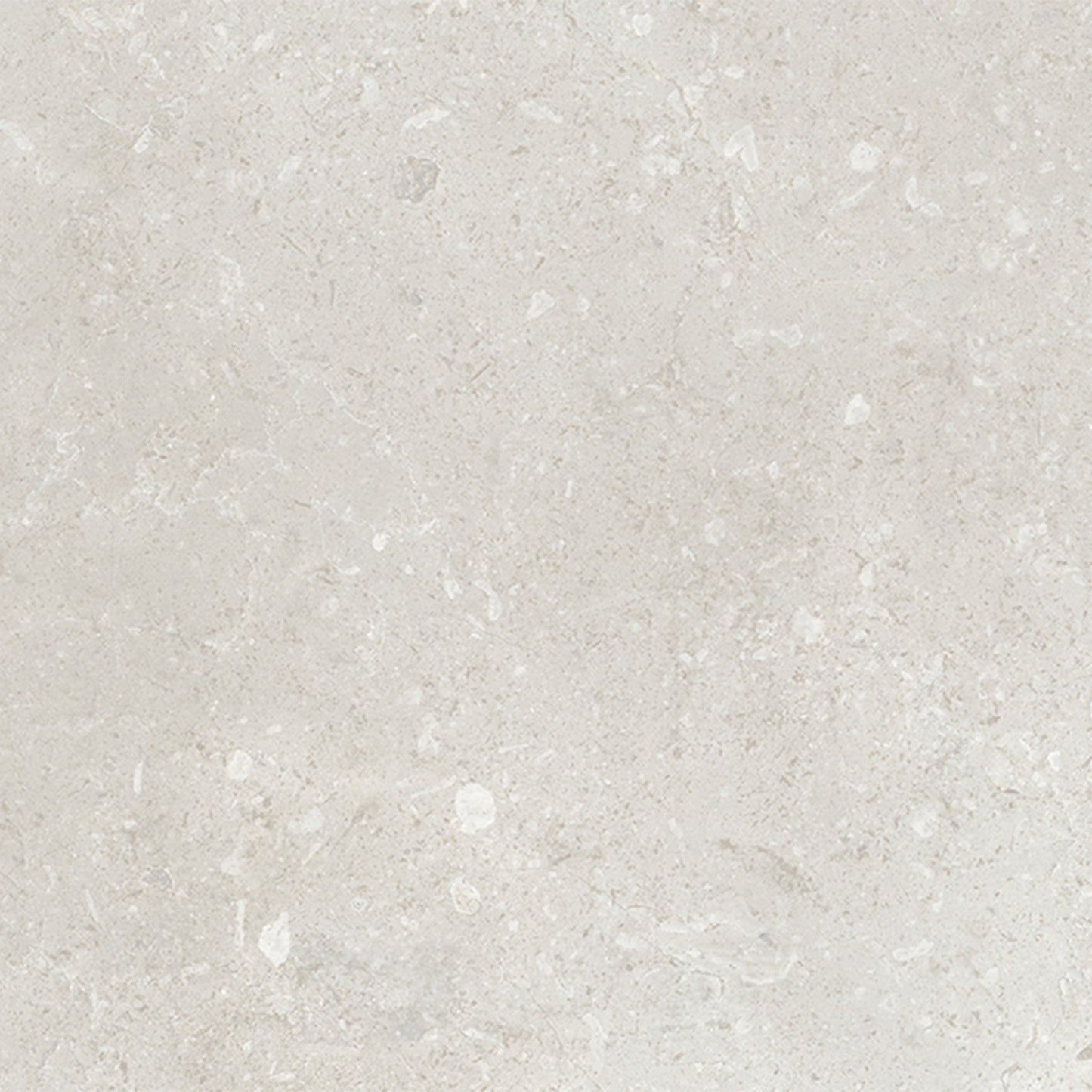Belmont Gloss - Smooth Ceramic Wall Tile Sample