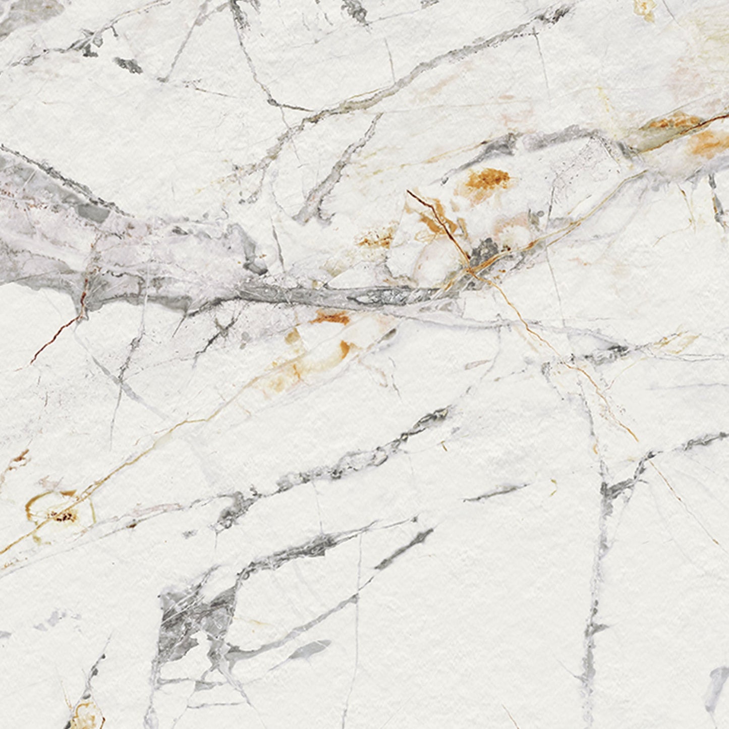 Celeste Matt - Smooth Porcelain Wall & Floor Tile Sample