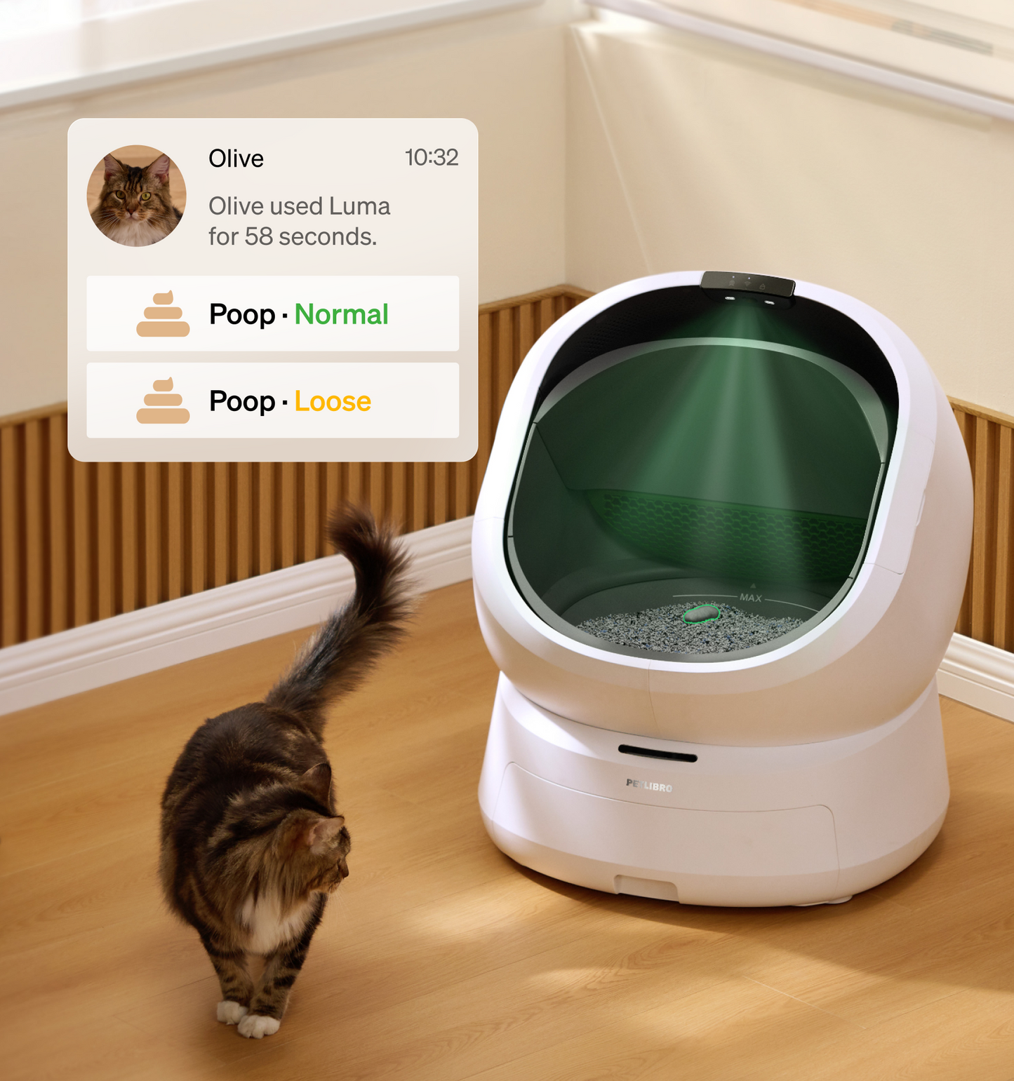 Luma Smart Litter Box with gift