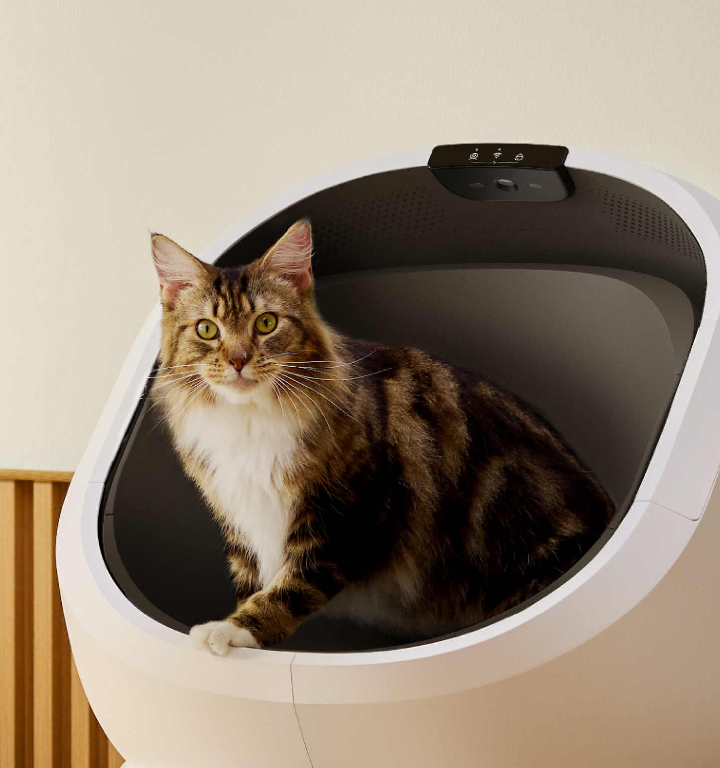 Luma Smart Litter Box with gift