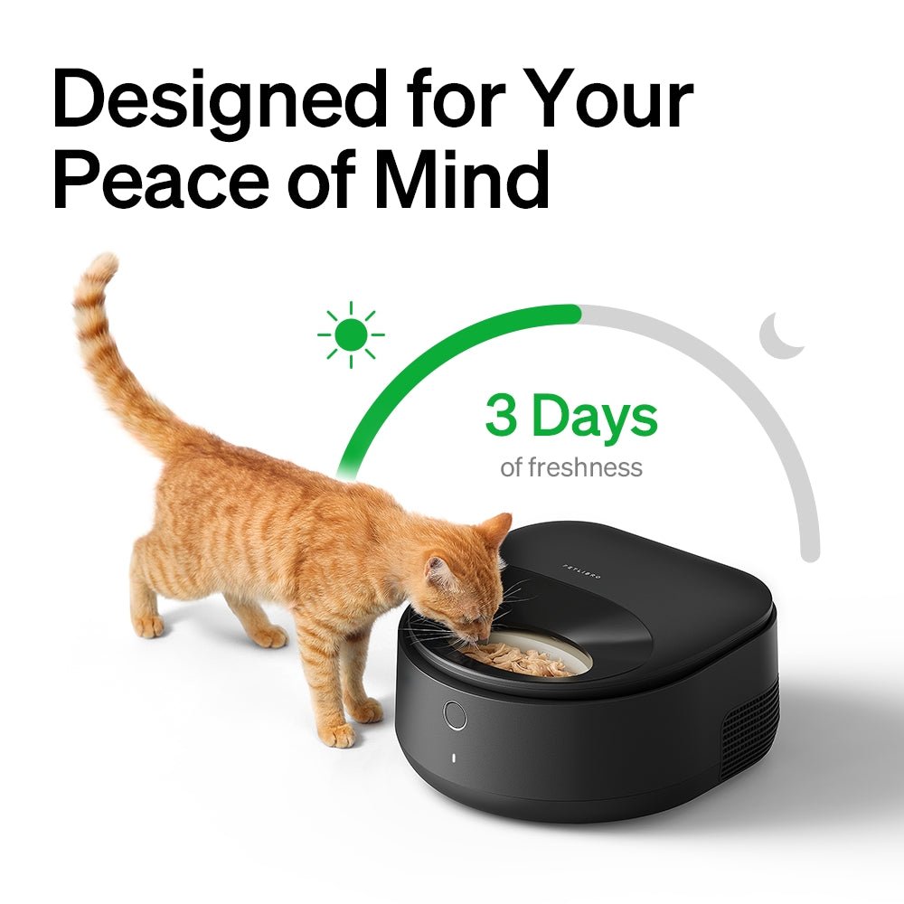 Polar Smart Wet Food Feeder for pet